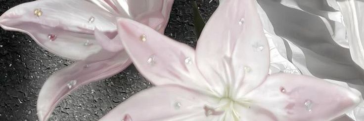 aleya banner