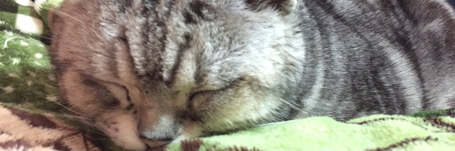 carlychoko's profile banner image