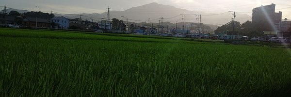 sXF0zxinxP7624 Profile Banner