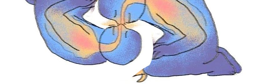 Ani banner