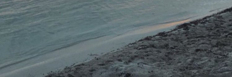 silviambrv's profile banner image