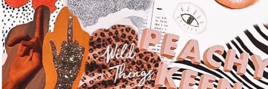 DaSiedlinski's profile banner image
