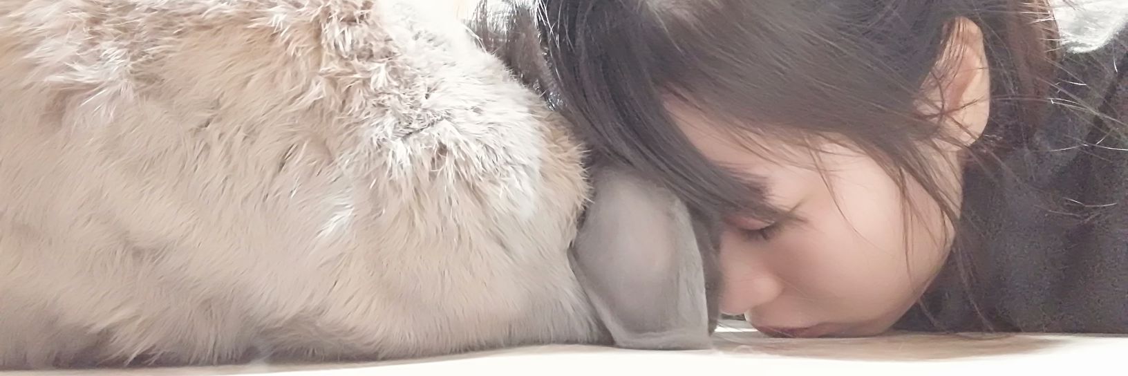 kumounko's profile banner image