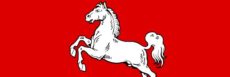 Forest banner