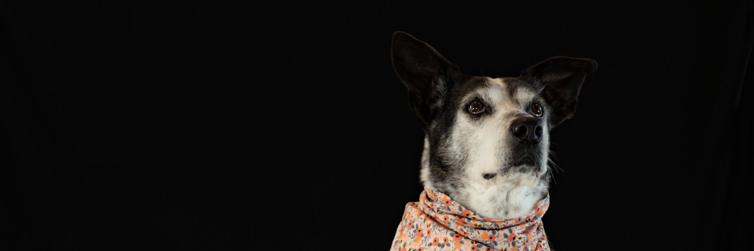 Samantha Gaytán banner