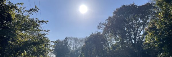 gii_chee Profile Banner