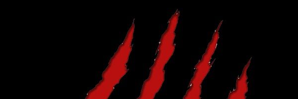 xyttuan's profile banner image
