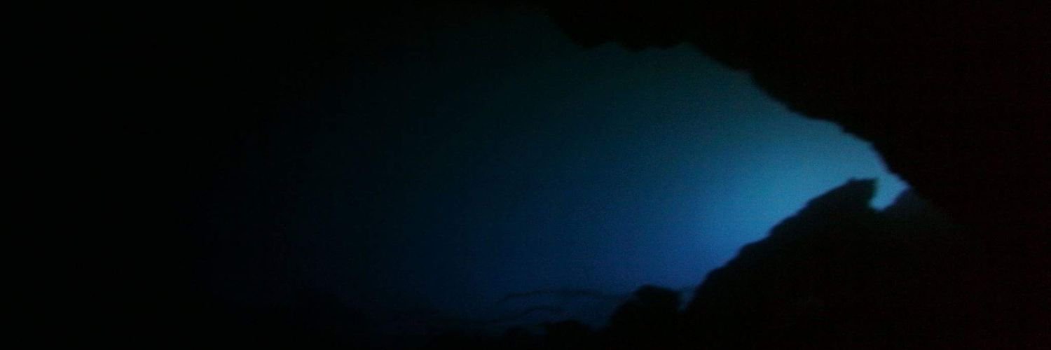 Robson Trench banner