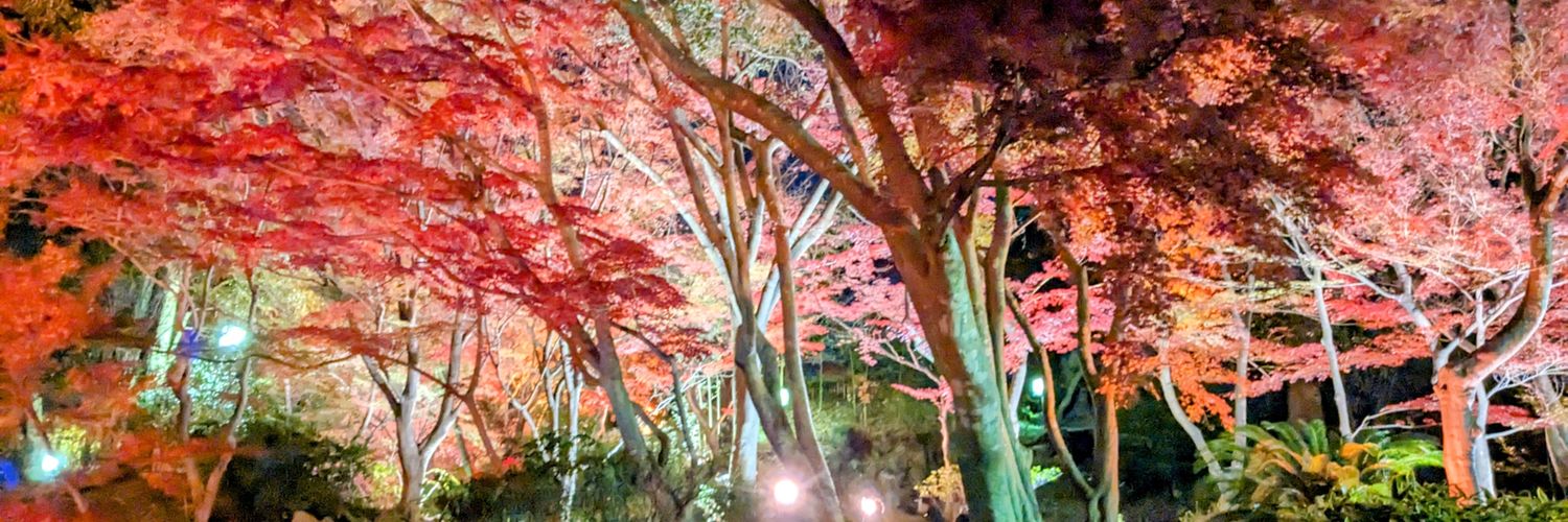 Nishira56's profile banner image