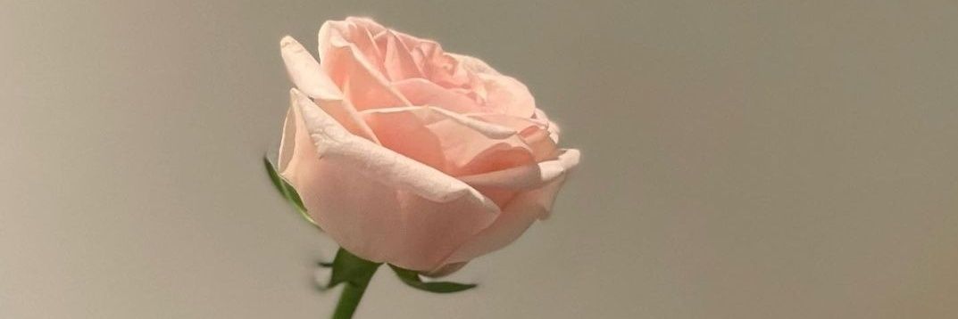 shilpnblla's profile banner image