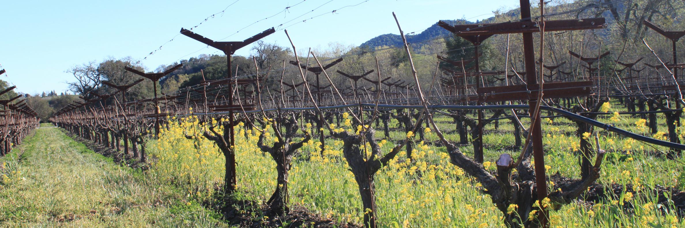 Lower Falls Wine Co. banner