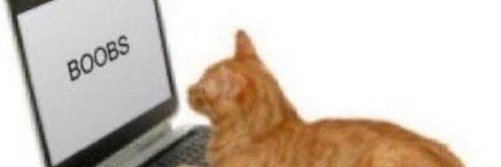 Abyon28's profile banner image