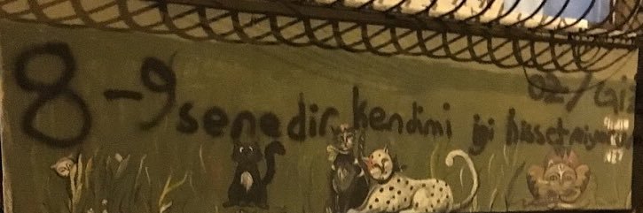 Tarık Yaşar banner