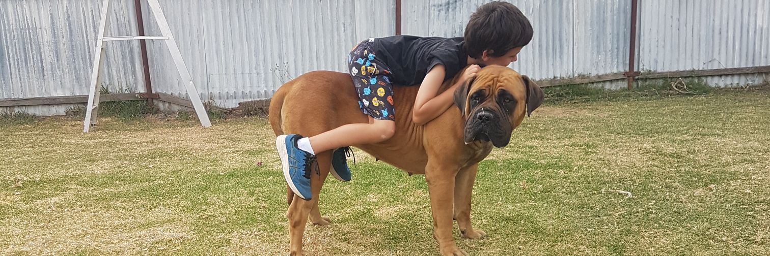 David Ralston banner