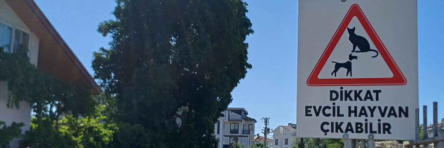Âmine banner