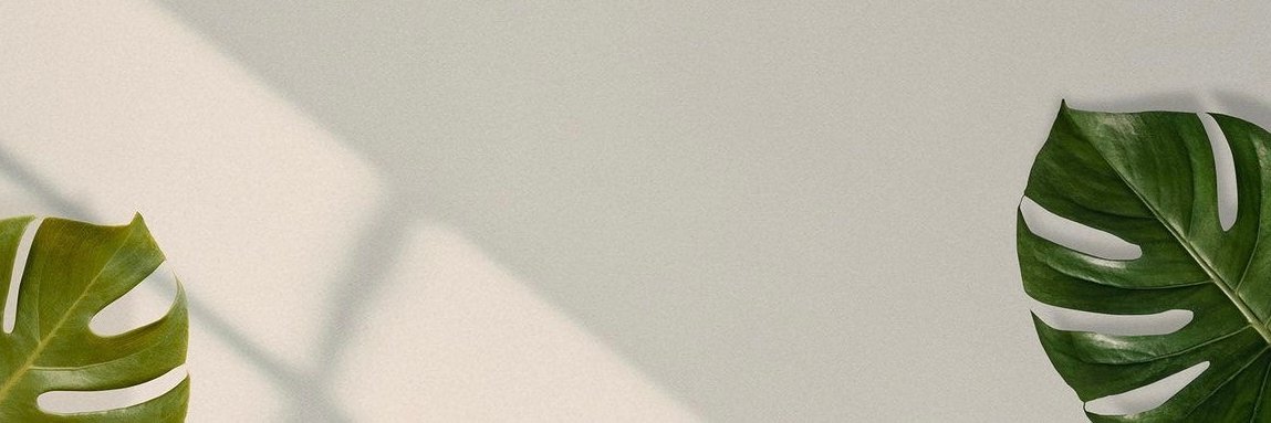 Ellie May banner