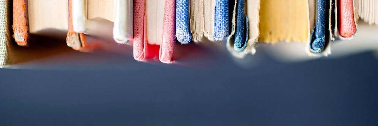 Sue banner