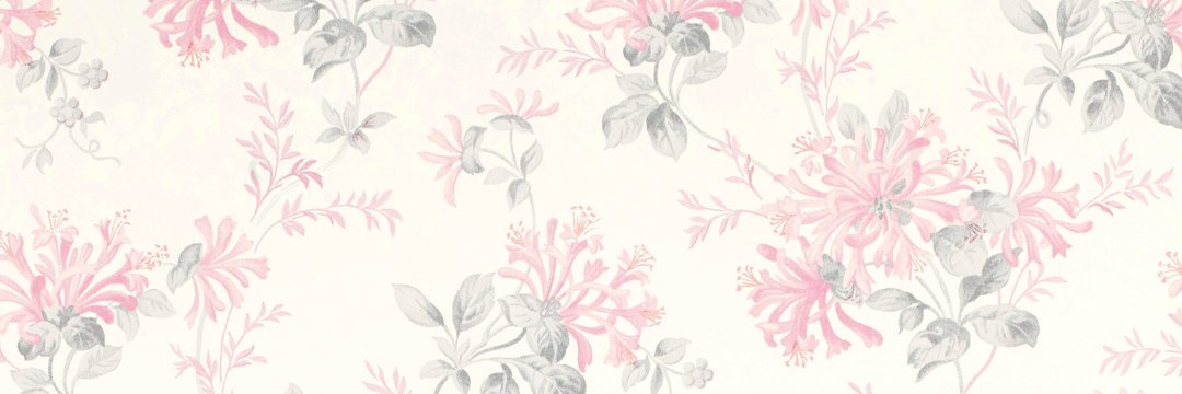 maaiRiim's profile banner image