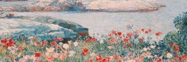 silenceingardn's profile banner image