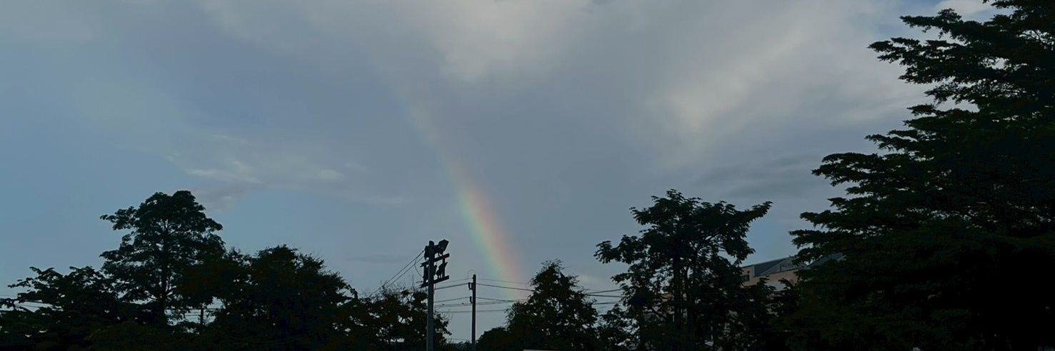 Braidyouuu3585's profile banner image