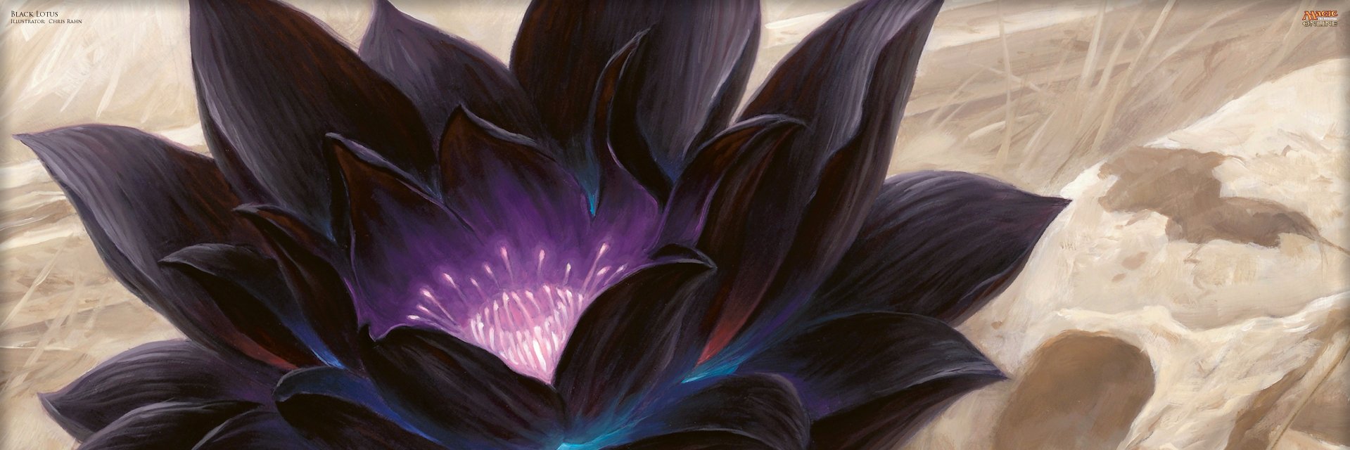 bottomghost's profile banner image