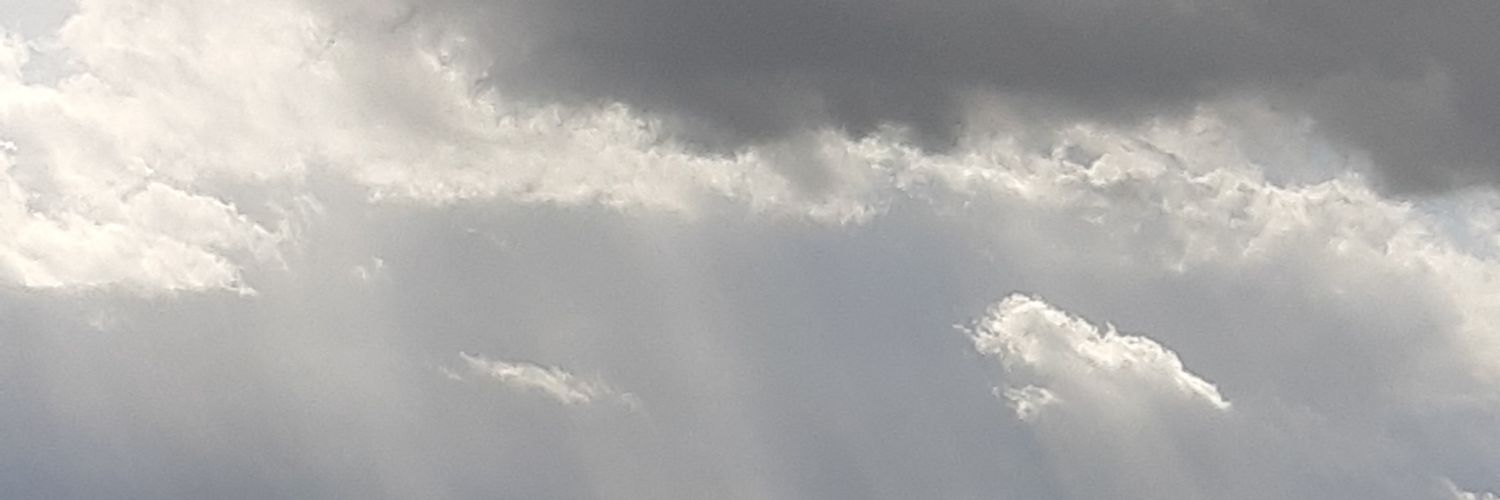 シダ植物 banner