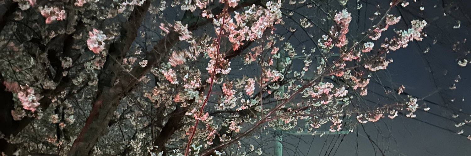 sachi0129hyde's profile banner image