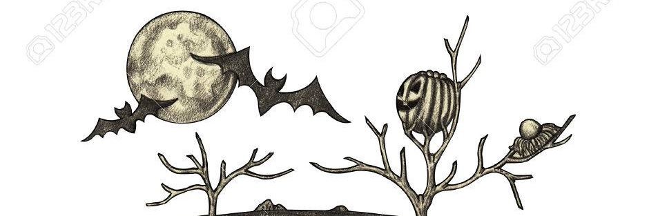 Casper__w_'s profile banner image