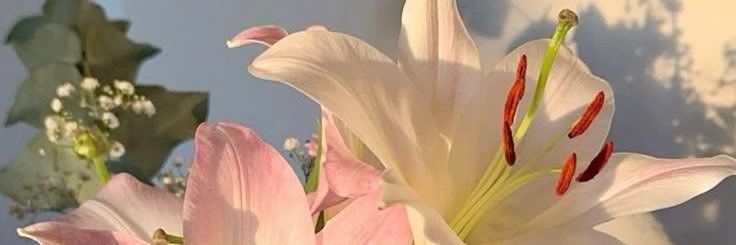 🌾 banner