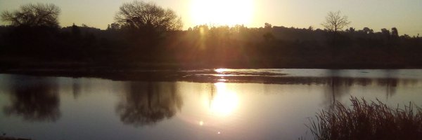 areeyol Profile Banner