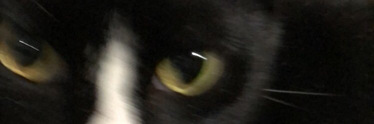 topvzio's profile banner image