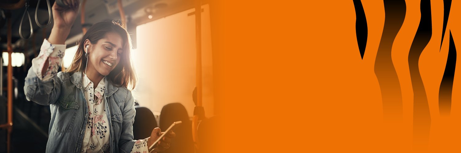 Yorkshire Tiger banner