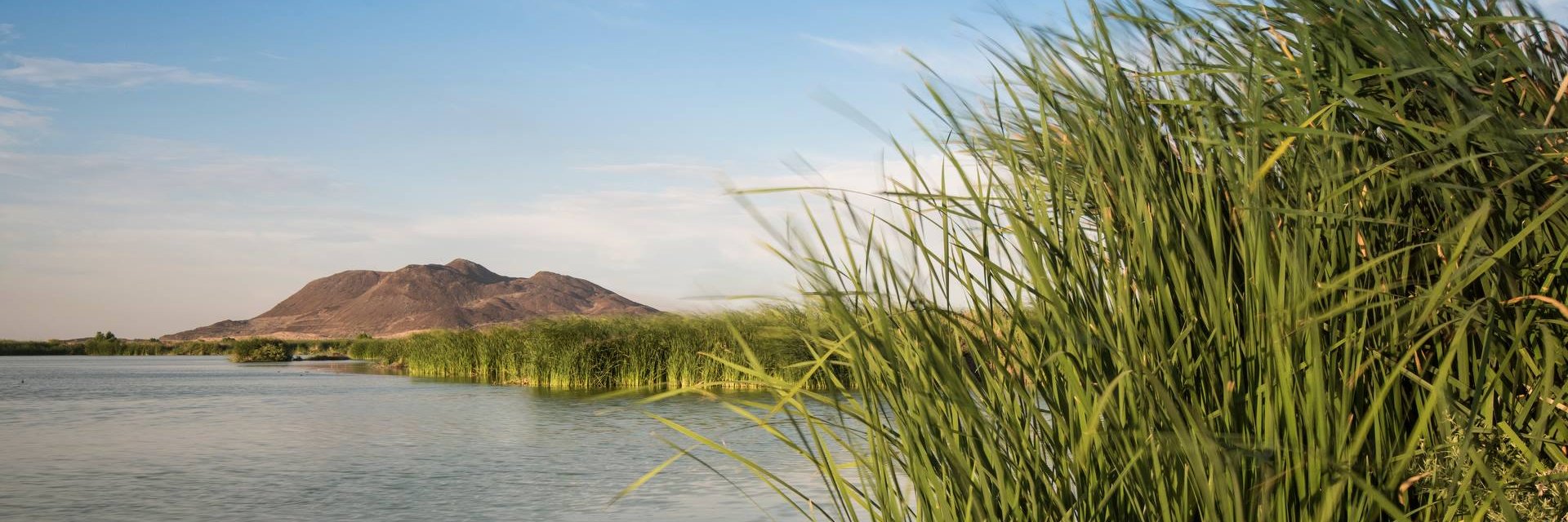 Raise The River banner