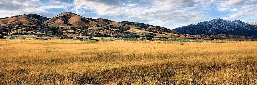 The Sovereign banner