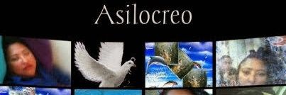 Asilocreo137's profile banner image