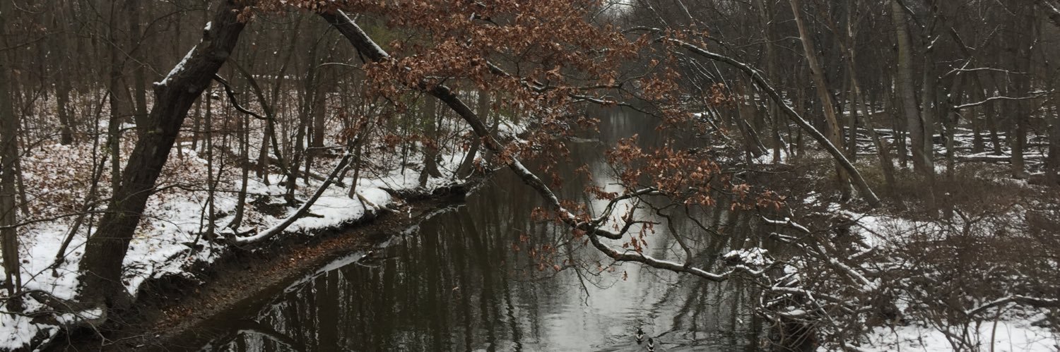 Christian Friedrich banner