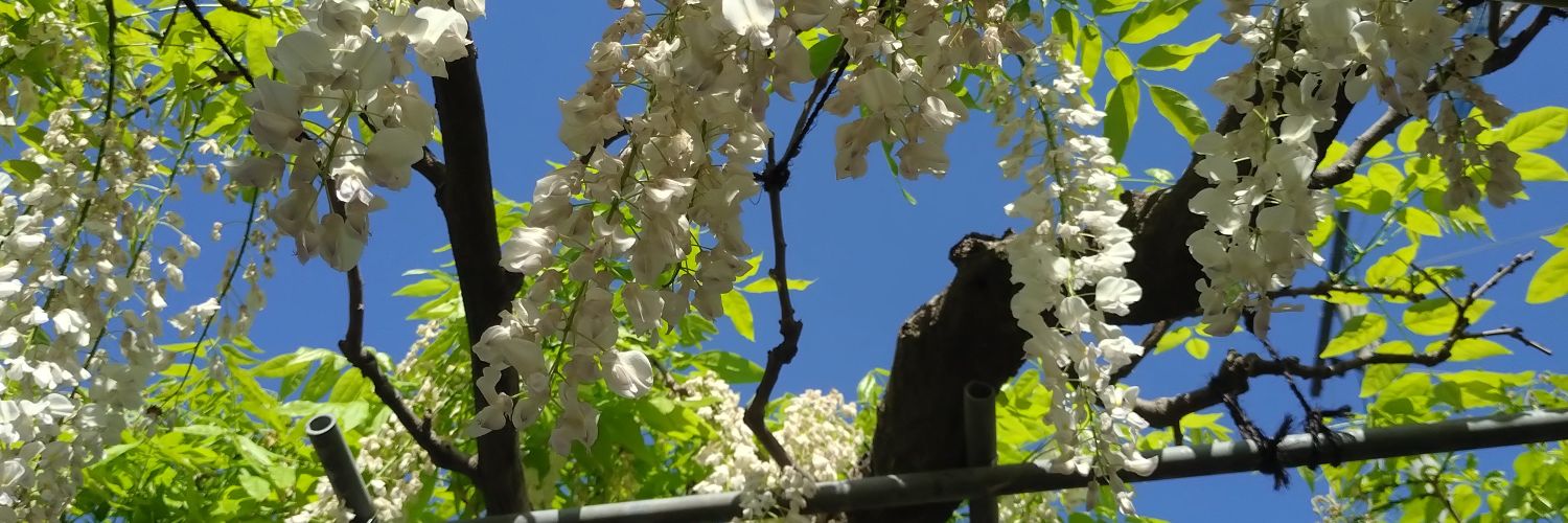 なび@観測者 banner
