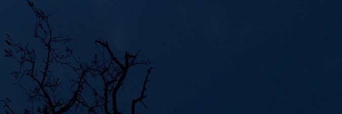 𝐑𝐚𝐢 banner