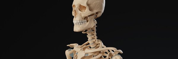 YrmomG44910 Profile Banner