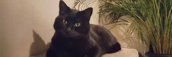 AineMacD Profile Banner