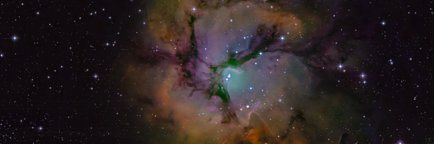 Pascale Desmet banner