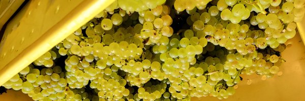 holiday_log Profile Banner