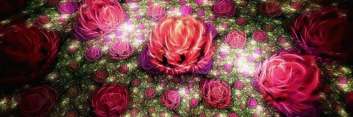 CatRedRose67's profile banner image