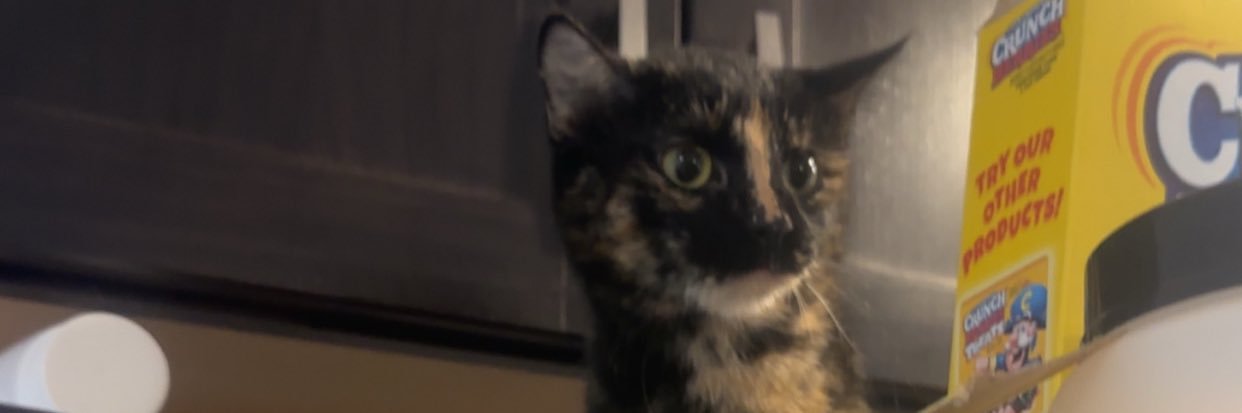 Mady_Rae07's profile banner image