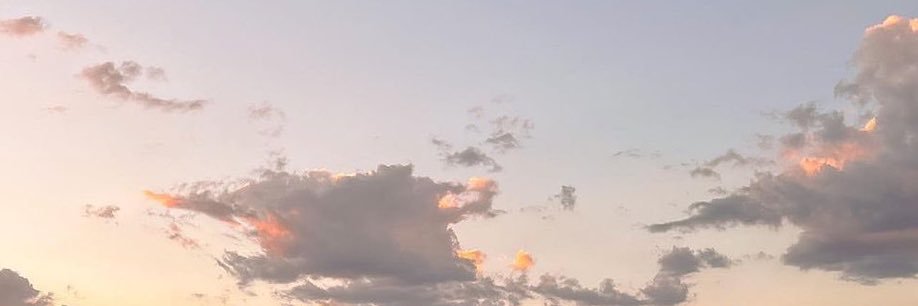 tcan_official's profile banner image