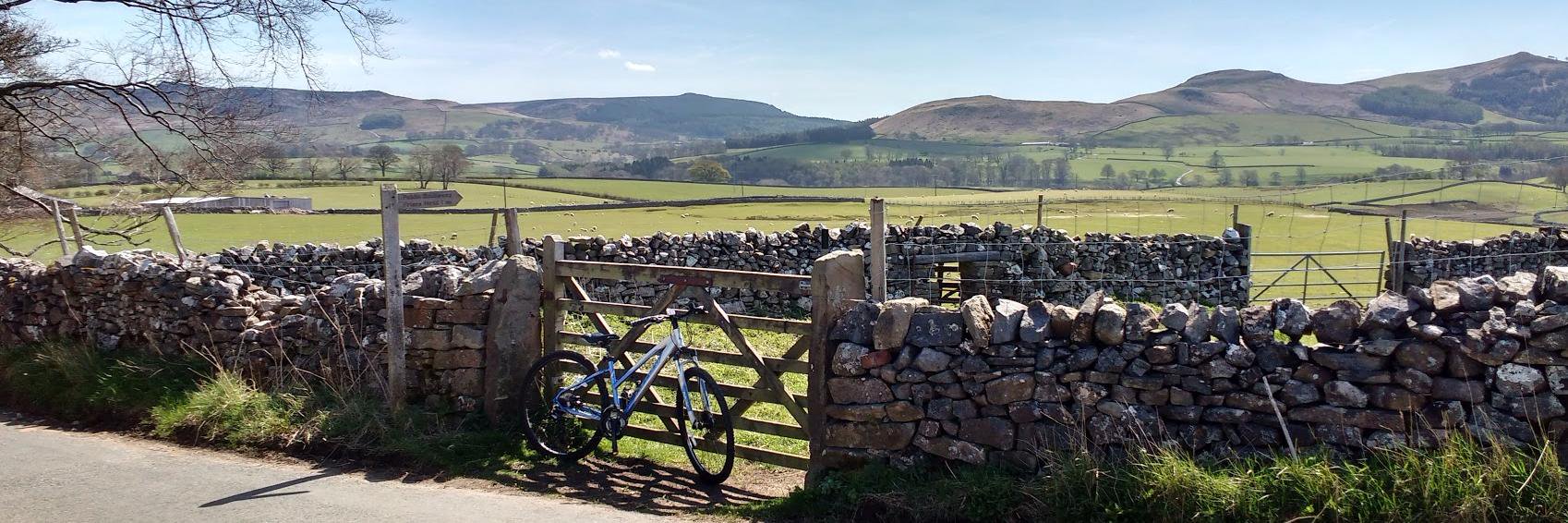 hazels2000's profile banner image
