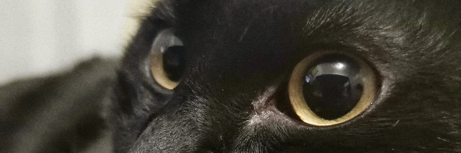 lowessalano's profile banner image