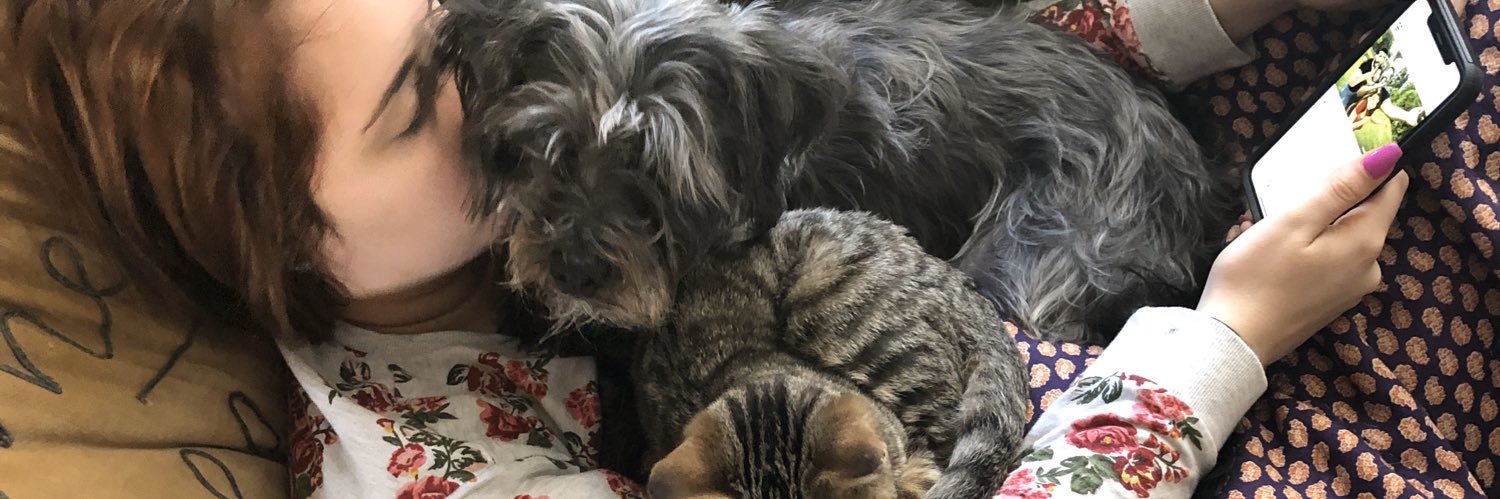 Ross🍕 (JibbsTheSquib) banner