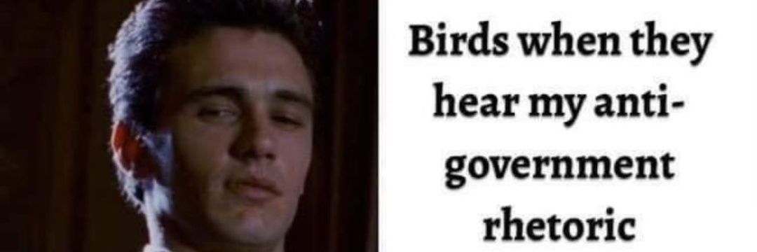 Vi Veri Veniversum Vivus Vici banner