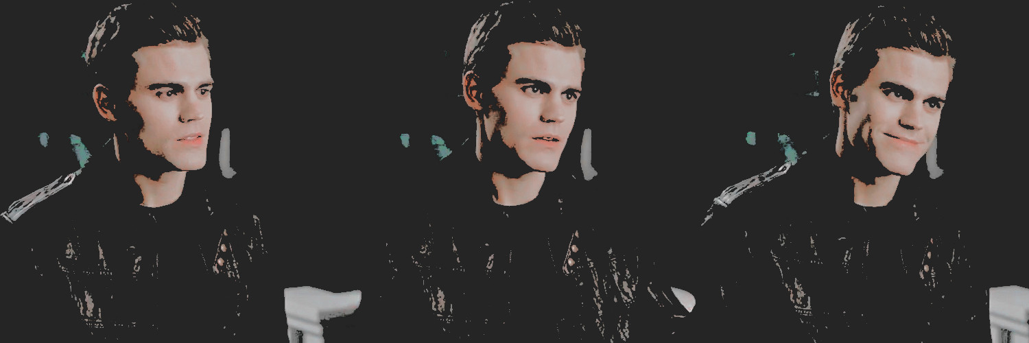 Stefan Salvatore banner